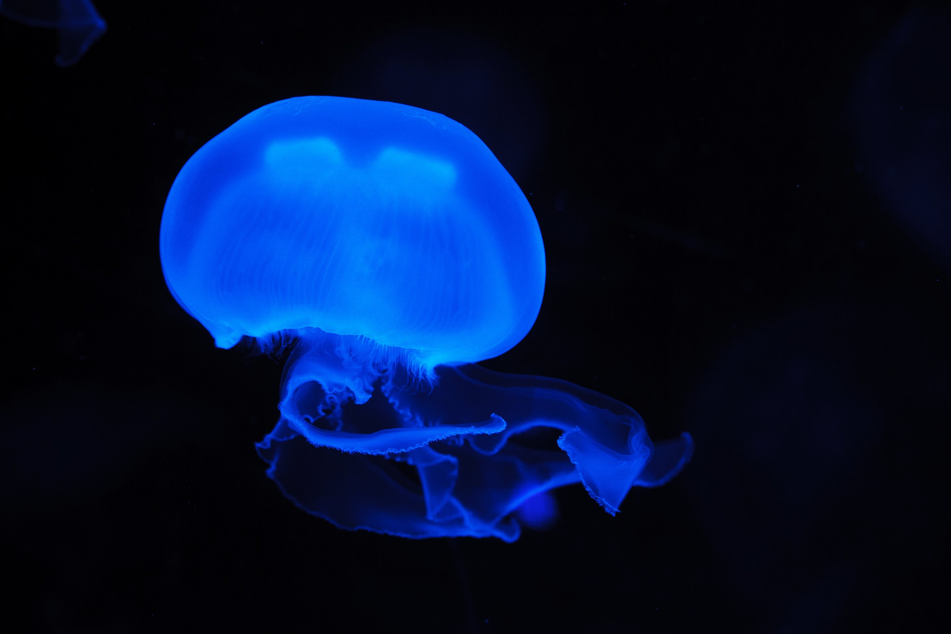 3d动态壁纸下载 免费 全屏(电脑桌面动态壁纸下载)